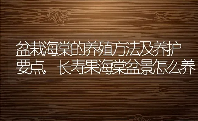 盆栽海棠的养殖方法及养护要点,长寿果海棠盆景怎么养 | 养殖常见问题