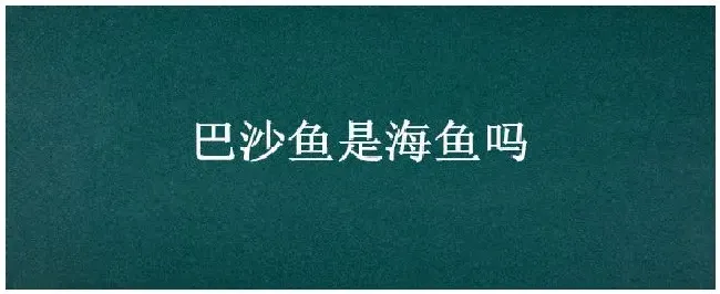 巴沙鱼是海鱼吗 | 农业答疑