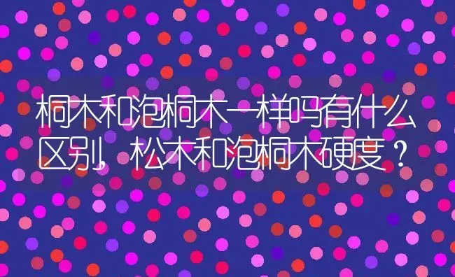 桐木和泡桐木一样吗有什么区别,松木和泡桐木硬度？ | 养殖常见问题