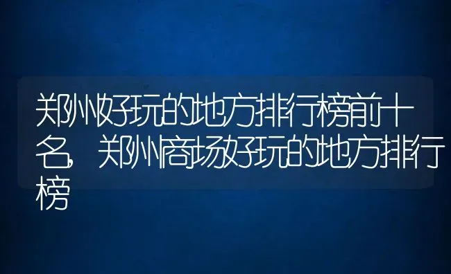 郑州好玩的地方排行榜前十名,郑州商场好玩的地方排行榜 | 养殖常见问题