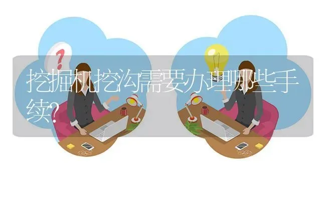 挖掘机挖沟需要办理哪些手续? | 养殖问题解答