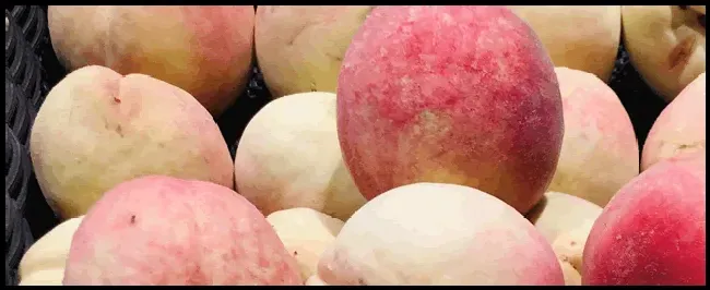 桃树的管理技术 | 三农答疑