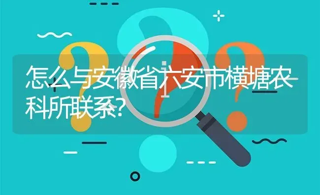 怎么与安徽省六安市横塘农科所联系? | 养殖问题解答