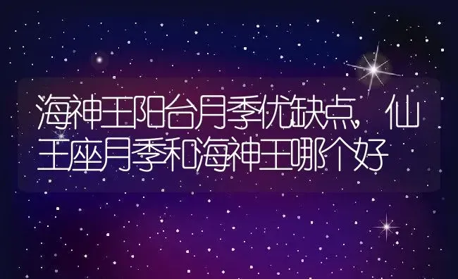 金钱树长什么样子,金钱树和万年青有什么区别？ | 养殖常见问题