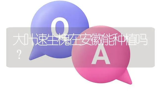 大叶速生槐在安徽能种植吗? | 养殖问题解答