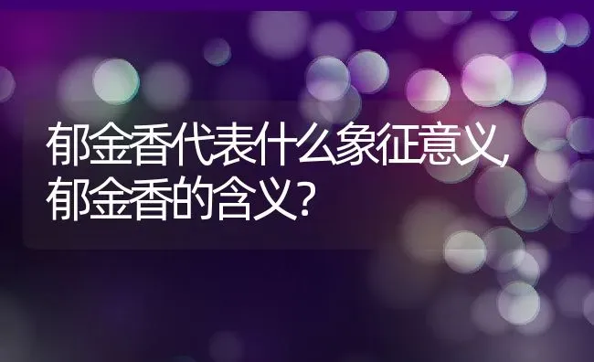 郁金香代表什么象征意义,郁金香的含义？ | 养殖常见问题