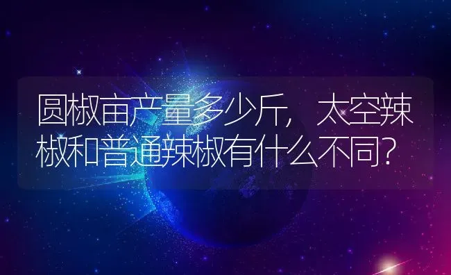 圆椒亩产量多少斤,太空辣椒和普通辣椒有什么不同？ | 养殖常见问题