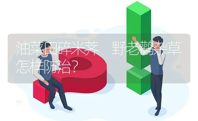 油菜田碎米荠 野老鹳杂草怎样防治? | 养殖问题解答