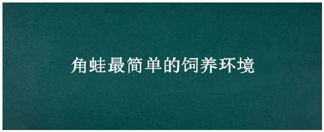 角蛙最简单的饲养环境 | 农业问题