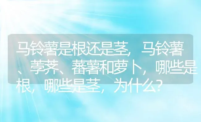 盆栽葡萄种植方法,葡萄栽培管理技术？ | 养殖常见问题