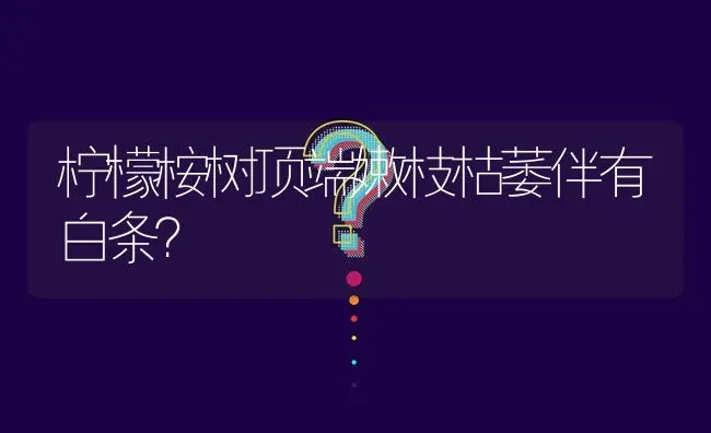 柠檬桉树顶端嫩枝枯萎伴有白条? | 养殖问题解答