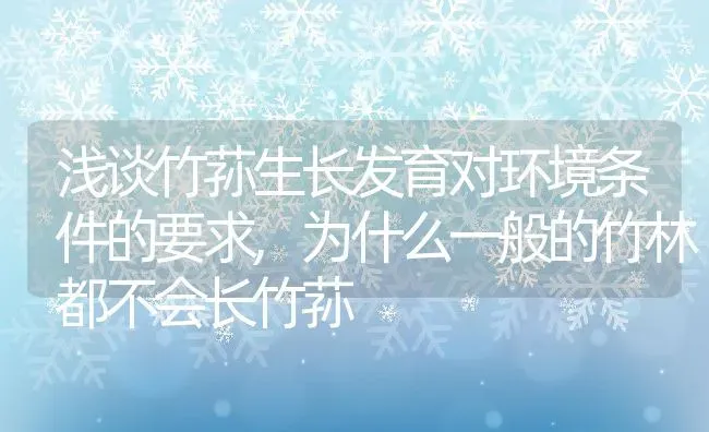 浅谈竹荪生长发育对环境条件的要求,为什么一般的竹林都不会长竹荪 | 养殖常见问题