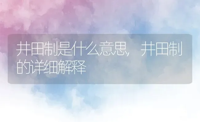 井田制是什么意思,井田制的详细解释 | 养殖常见问题