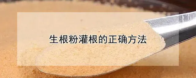 生根粉怎么用,用生根粉浇花的正确方法？