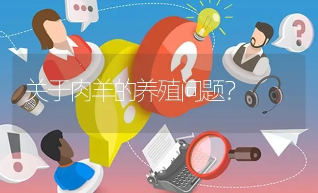 关于肉羊的养殖问题? | 养殖问题解答
