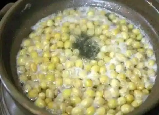 植物常识问题|如何用黄豆制作肥水肥力暴增