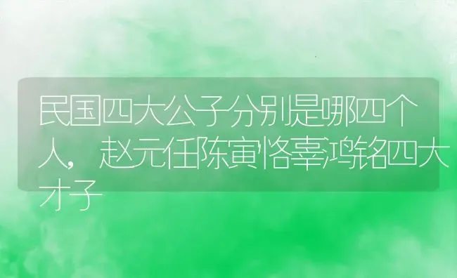 民国四大公子分别是哪四个人,赵元任陈寅恪辜鸿铭四大才子 | 养殖常见问题
