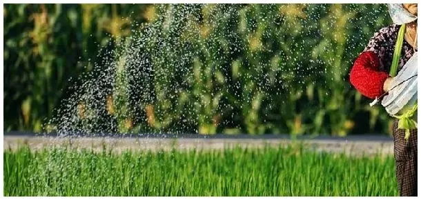 水溶肥配比公式 | 生活常识