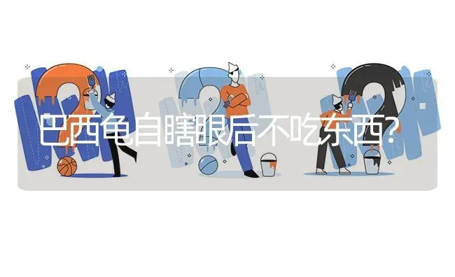 巴西龟自瞎眼后不吃东西? | 养殖问题解答