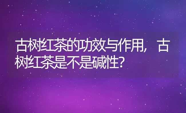 古树红茶的功效与作用,古树红茶是不是碱性？ | 养殖常见问题