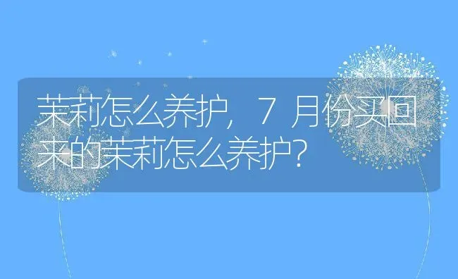 茉莉怎么养护,7月份买回来的茉莉怎么养护？ | 养殖常见问题