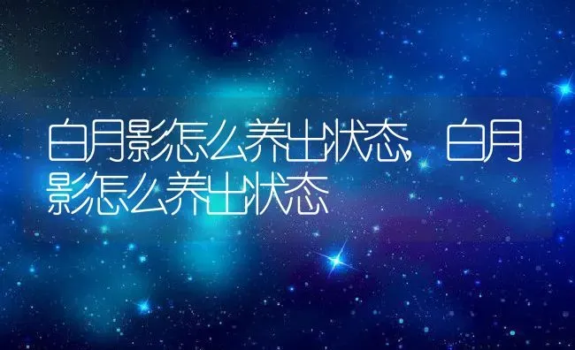 白月影怎么养出状态,白月影怎么养出状态 | 养殖常见问题