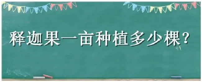 释迦果一亩种植多少棵 | 农业答疑