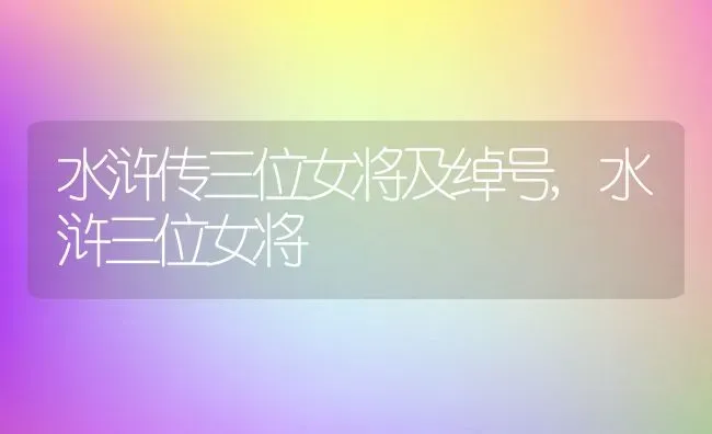 水浒传三位女将及绰号,水浒三位女将 | 养殖常见问题