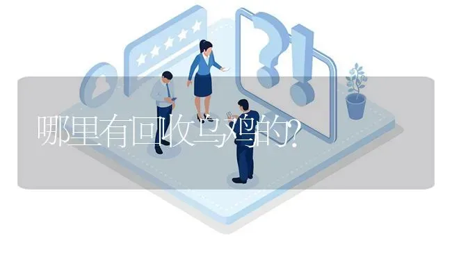 哪里有回收乌鸡的? | 养殖问题解答