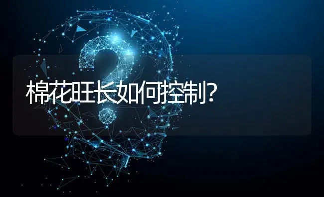 棉花旺长如何控制? | 养殖问题解答