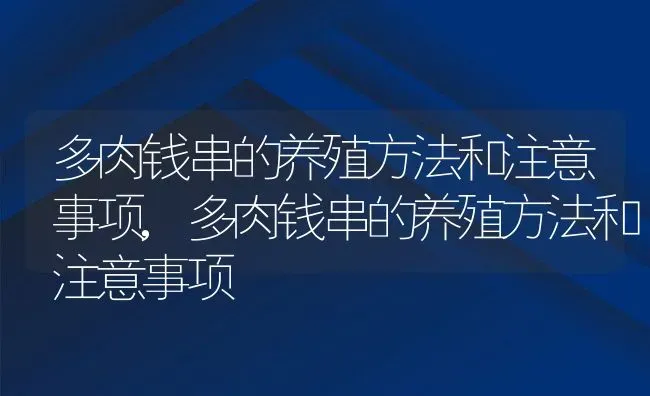 多肉钱串的养殖方法和注意事项,多肉钱串的养殖方法和注意事项 | 养殖常见问题