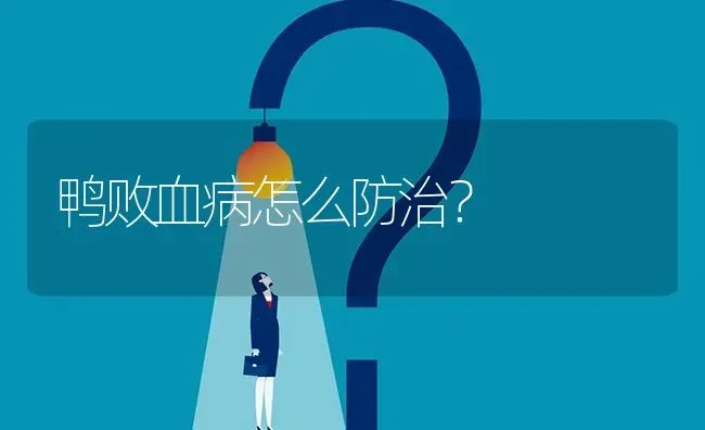 鸭败血病怎么防治? | 养殖问题解答