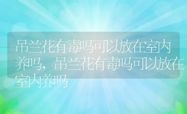 吊兰花有毒吗可以放在室内养吗,吊兰花有毒吗可以放在室内养吗 | 养殖常见问题