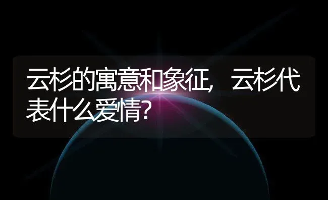 云杉的寓意和象征,云杉代表什么爱情？ | 养殖常见问题