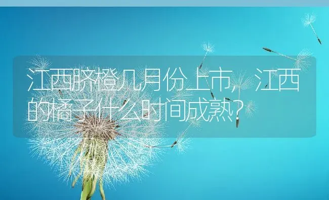 江西脐橙几月份上市,江西的橘子什么时间成熟？ | 养殖常见问题