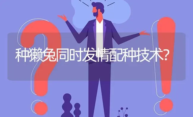种獭兔同时发情配种技术? | 养殖问题解答