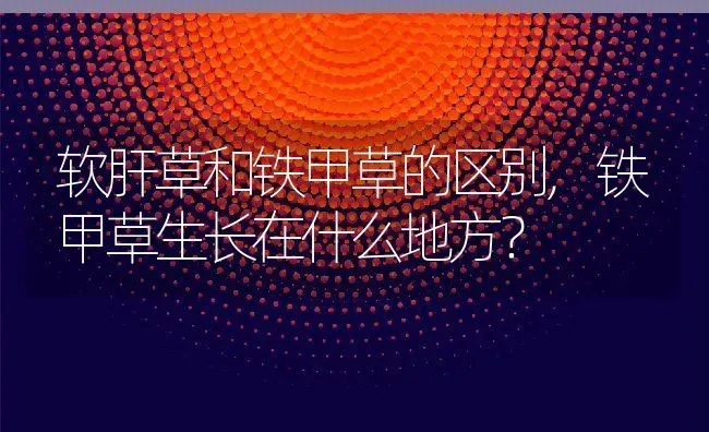 软肝草和铁甲草的区别,铁甲草生长在什么地方？ | 养殖常见问题