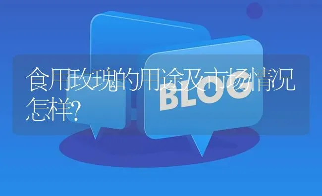 食用玫瑰的用途及市场情况怎样? | 养殖问题解答