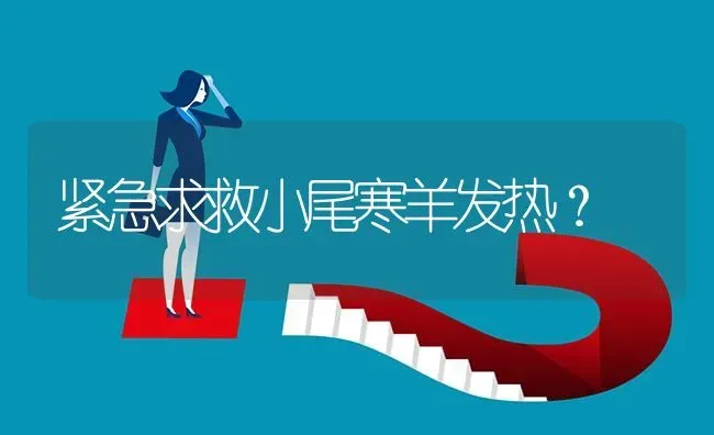 杂交波尔山羊可以做种羊吗? | 养殖问题解答