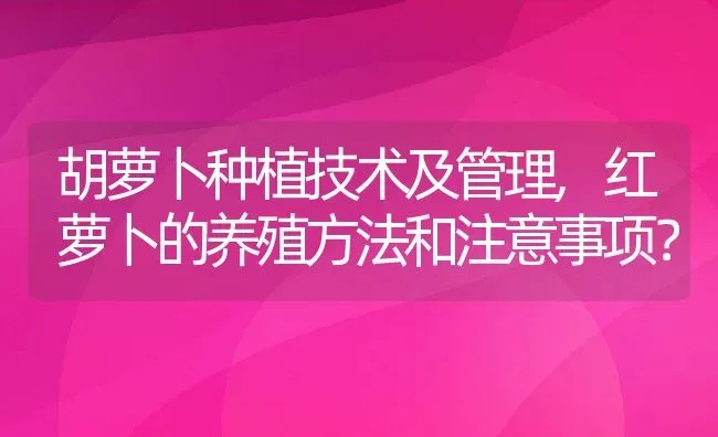 胡萝卜种植技术及管理,红萝卜的养殖方法和注意事项？ | 养殖常见问题