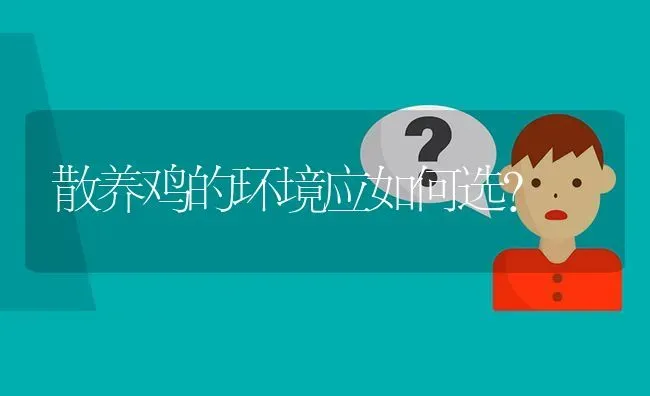 散养鸡的环境应如何选? | 养殖问题解答