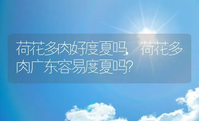 荷花多肉好度夏吗,荷花多肉广东容易度夏吗？ | 养殖常见问题