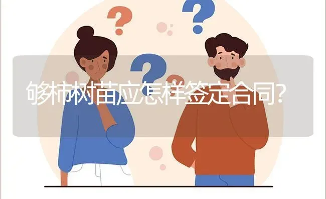 够柿树苗应怎样签定合同? | 养殖问题解答