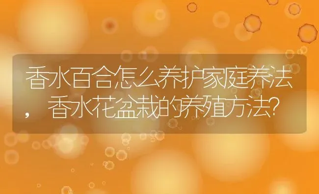 香水百合怎么养护家庭养法,香水花盆栽的养殖方法？ | 养殖常见问题