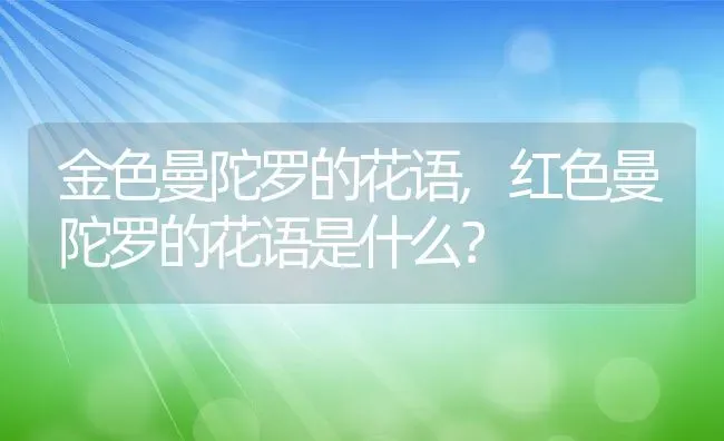 金色曼陀罗的花语,红色曼陀罗的花语是什么？ | 养殖常见问题