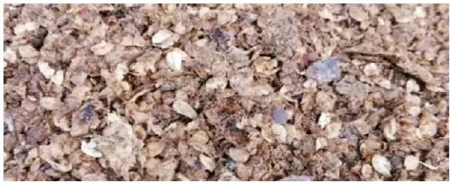 菜籽饼简单发酵方法 | 农业常识