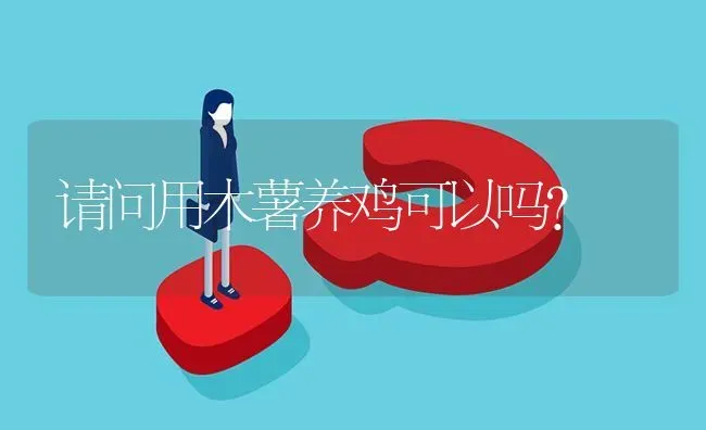 请问用木薯养鸡可以吗? | 养殖问题解答