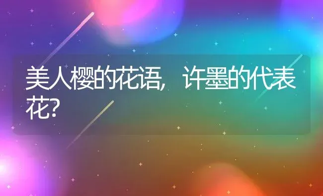 美人樱的花语,许墨的代表花？ | 养殖常见问题