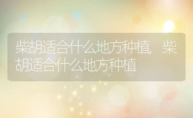 柴胡适合什么地方种植,柴胡适合什么地方种植 | 养殖常见问题