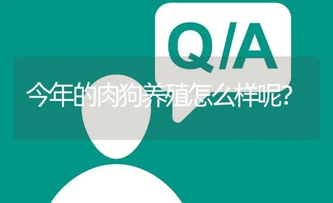 今年的肉狗养殖怎么样呢? | 养殖问题解答